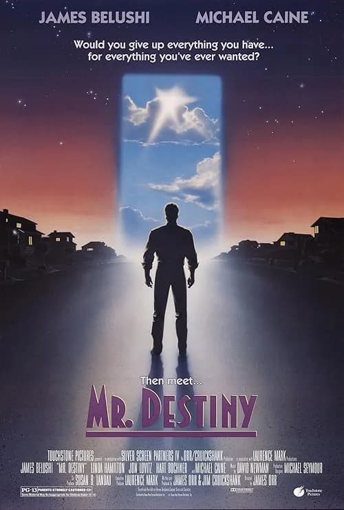 Mr. Destiny film posteri