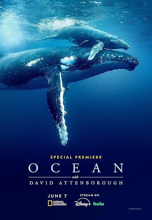 Ocean with David Attenborough film posteri